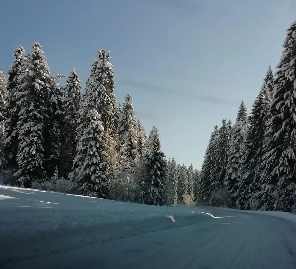 Vila Carmen Kuca Za Odmor Sa Wellnessom,Sunger Mrkopalj Chorvatsko