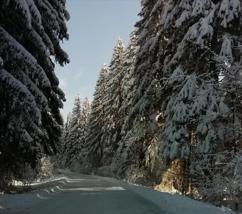 Chalet Vila Carmen Kuca Za Odmor Sa Wellnessom,Sunger Mrkopalj