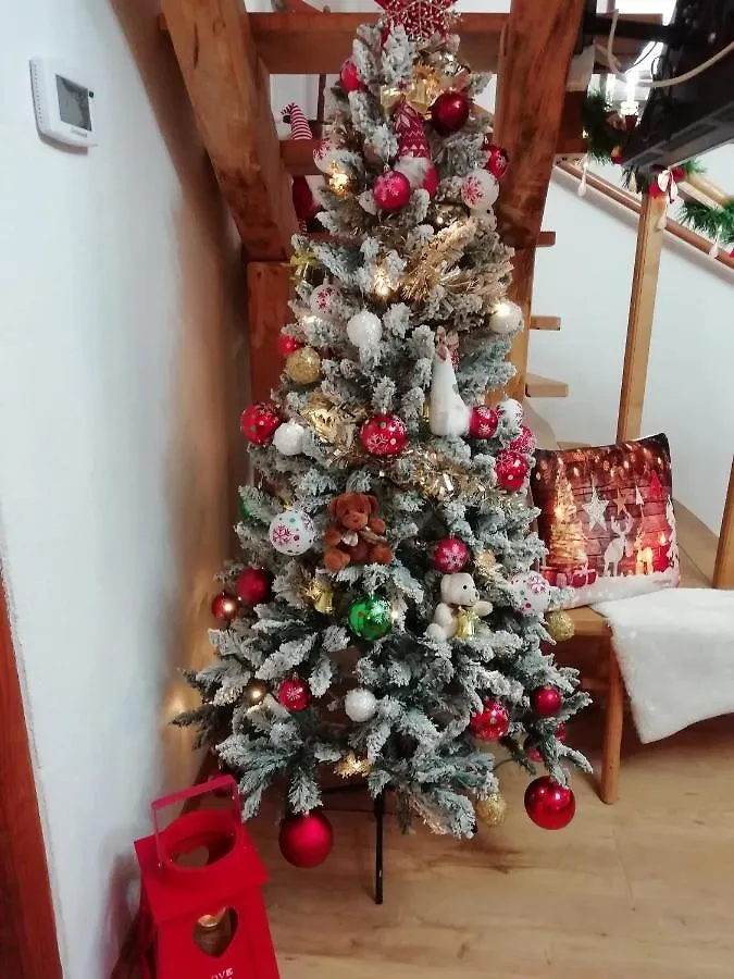 Vila Carmen Kuca Za Odmor Sa Wellnessom,Sunger Mrkopalj 0*,