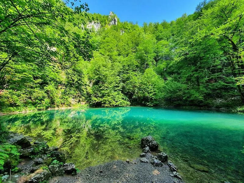 Vila Carmen Kuca Za Odmor Sa Wellnessom,Sunger Mrkopalj