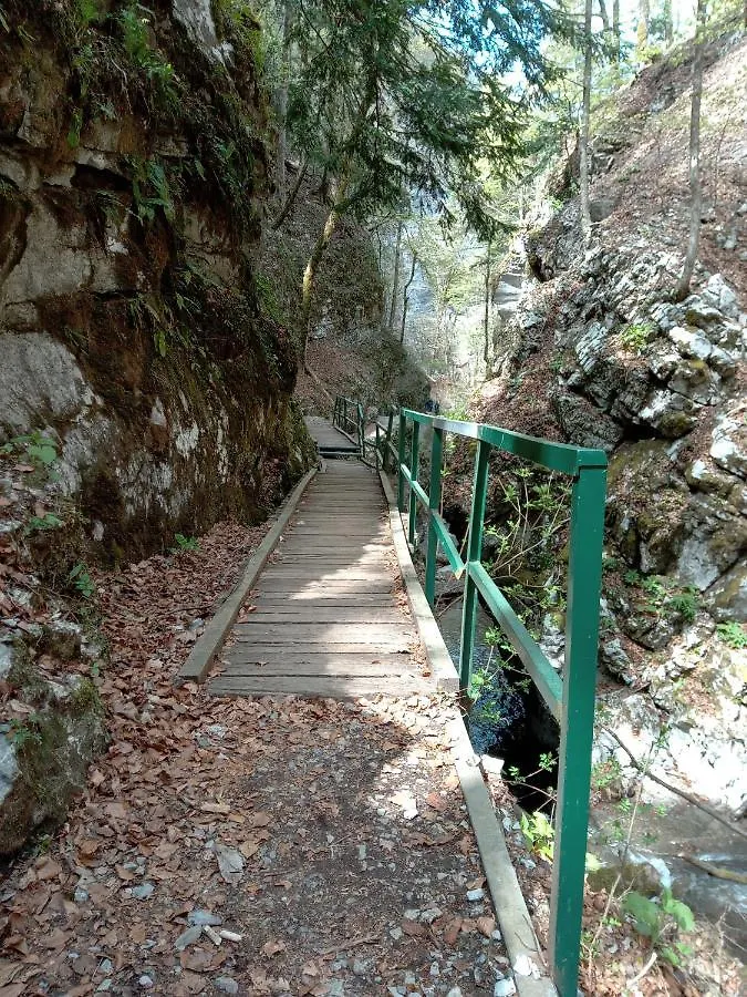 Vila Carmen Kuca Za Odmor Sa Wellnessom,Sunger Mrkopalj Horská chata