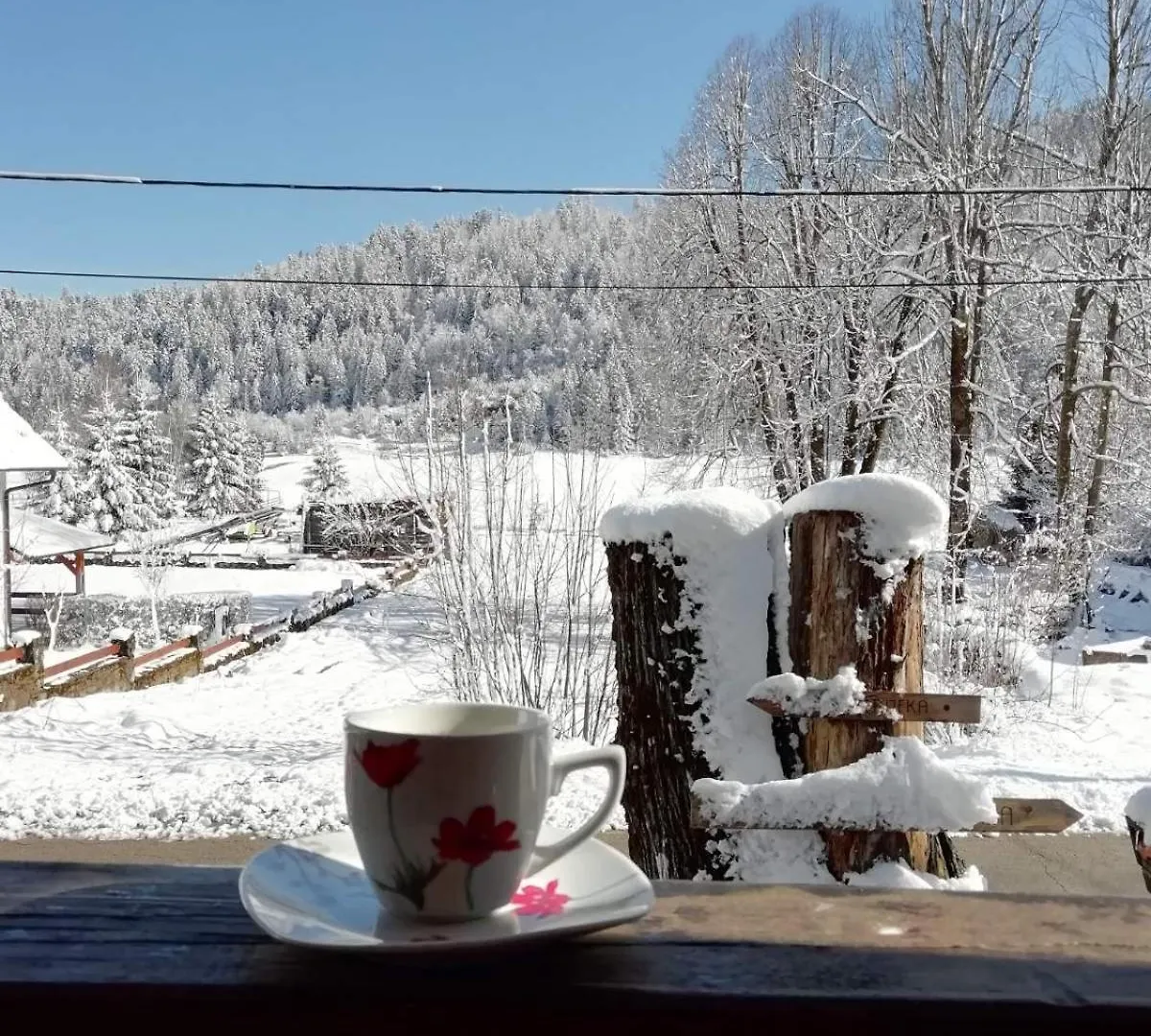 Vila Carmen Kuca Za Odmor Sa Wellnessom,Sunger Mrkopalj Chalet